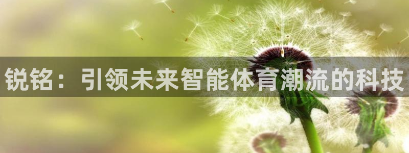 球客岛官网下载平台注册流程图：锐铭：引领未来智能体育