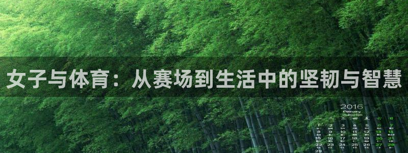 b体育必一运动官网