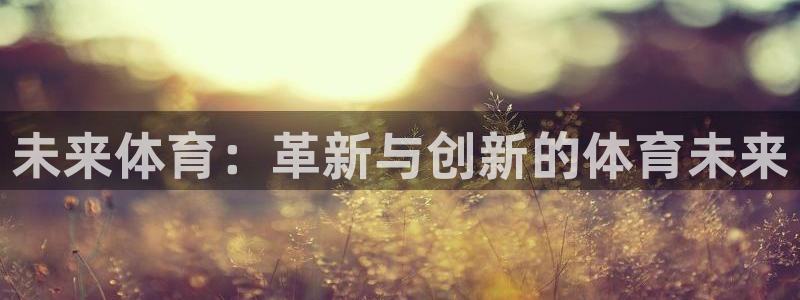 必一运动体育官网入口