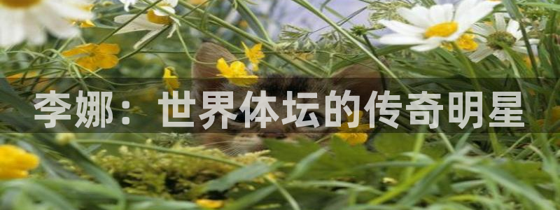 bsports必一运动