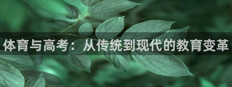bsports必一运动