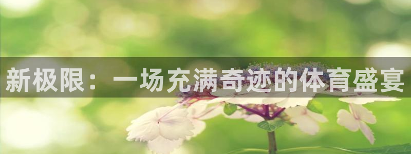 必一运动bsport体育