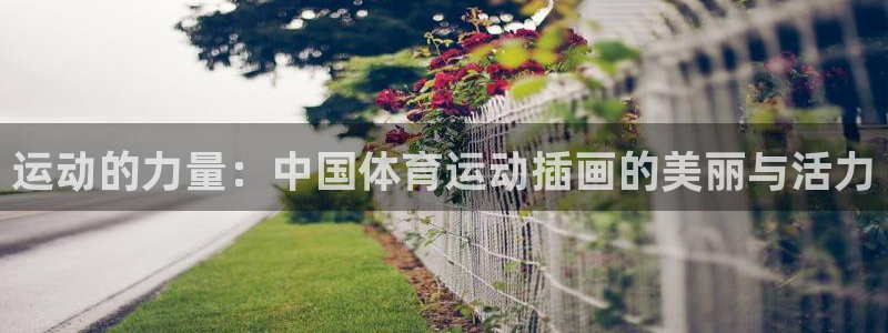 bsport必一运动